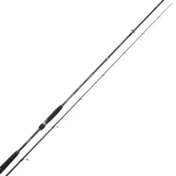 CANNE SPINNING RYOKAN SW 802 H 2M44 14/42G