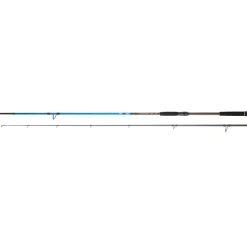 CANNE SPINNING SPITFIRE SEABASS 2M13 28-84G
