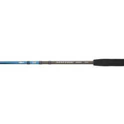CANNE SPINNING SPITFIRE SEABASS 2M13 28-84G