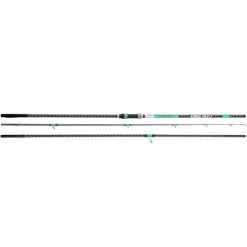 CANNE SURF CASTING SAIKOU DSC A10 4M50 100/250G
