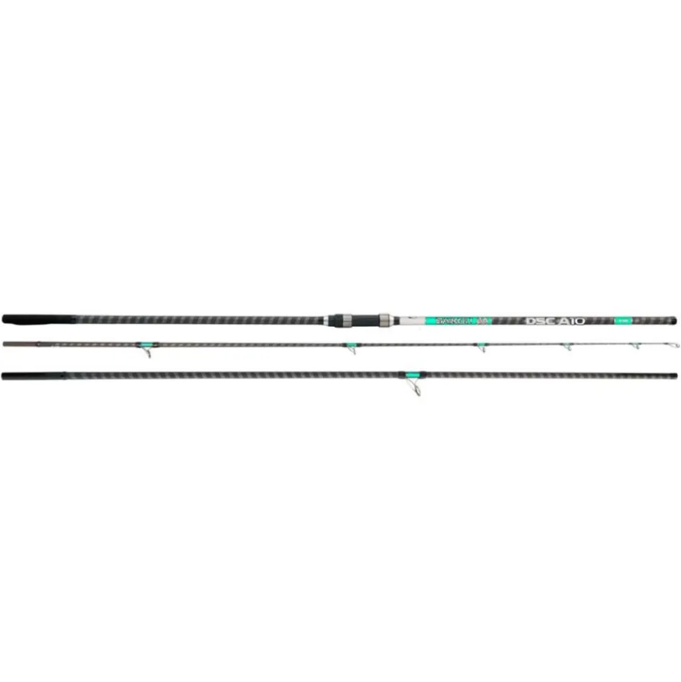 CANNE SURF CASTING SAIKOU DSC A10 4M50 100/250G
