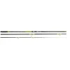 CANNE SURF VEYOR 4M20 100/250G