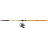 CANNE TELE POSE + MOULINET DF 4000
