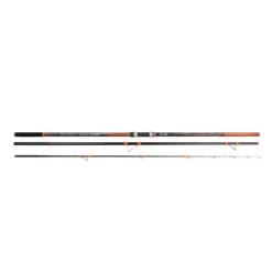 CANNE WINSURF 4M20 100/250G