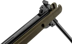CARABINE BIGCAT GREEN 4.5 19,9J+ 4X32