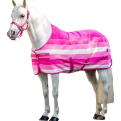 CHEMISE POLAIRE NEWMARKET ROSE