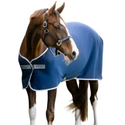 CHEMISE SECHANTE AMIGO JERSEY MARIN