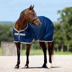 CHEMISE SECHANTE AMIGO JERSEY MARIN