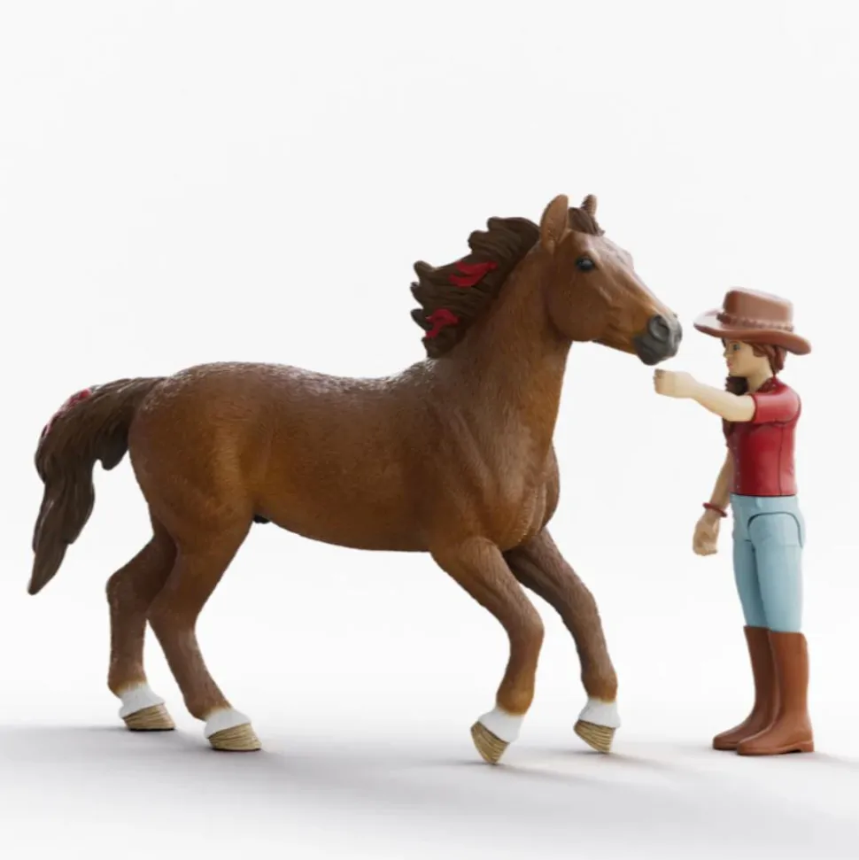 COFFRET CAVALIÈRE HANNAH ET CAYENNE