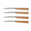COFFRET 4COUTEAUX TABLE BON APPETIT