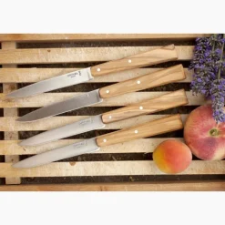 COFFRET 4COUTEAUX TABLE BON APPETIT