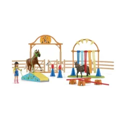 COFFRET ENTRAINEMENT DAGILITY POUR PONEY