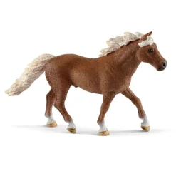 COFFRET ENTRAINEMENT DAGILITY POUR PONEY