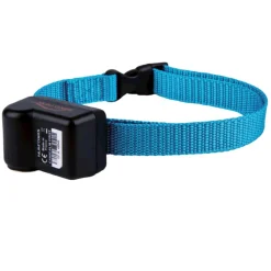 COLLIER ANTIABOIEMENT CANICALM FIRST