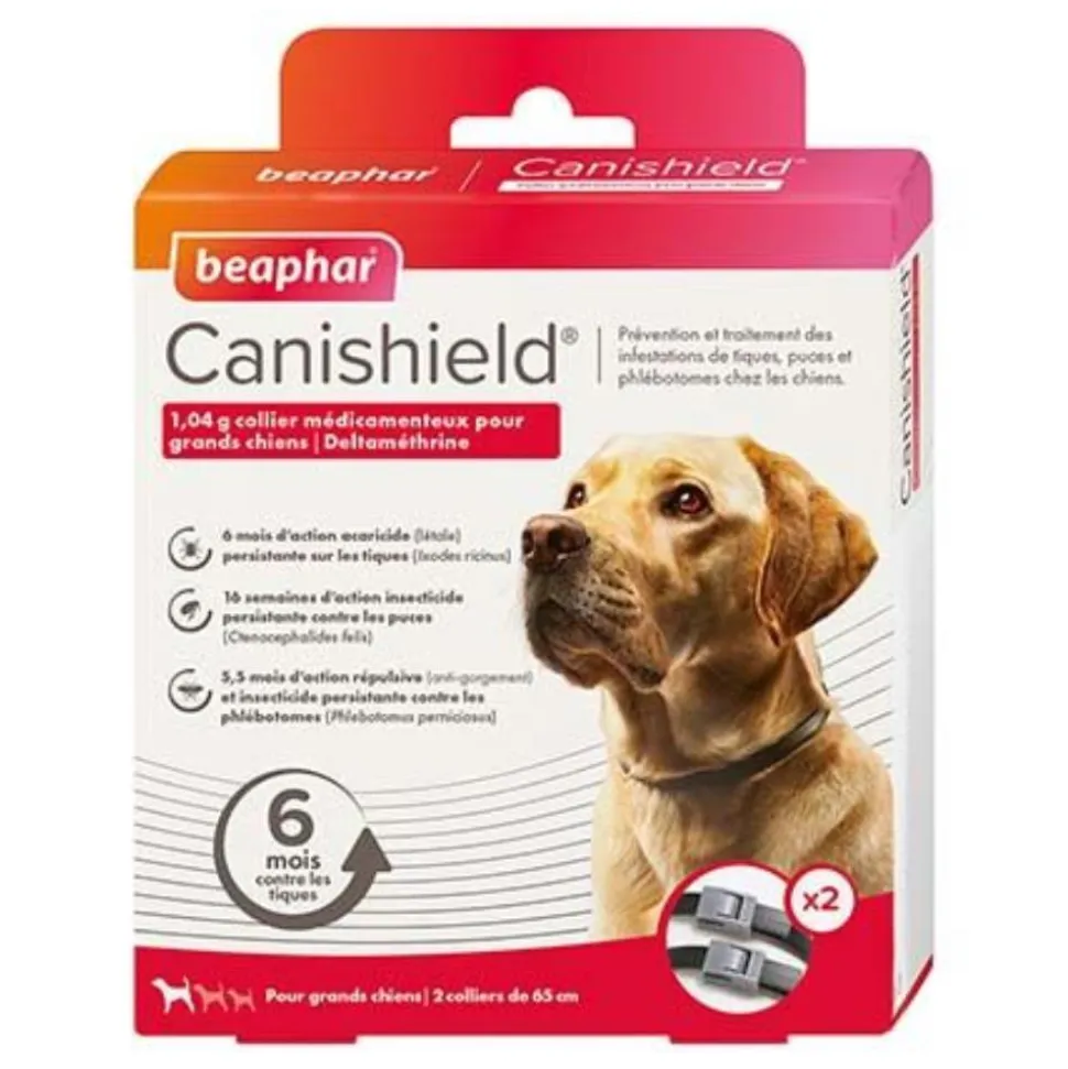 COLLIER CANISHIELD GRAND CHIEN X2
