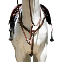 COLLIER DE CHASSE A PONT HAVANE