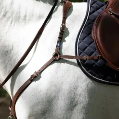 COLLIER DE CHASSE A PONT HAVANE