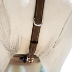 COLLIER DE CHASSE A PONT HAVANE