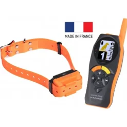 COLLIER DRESSAGE CANICOM R-800