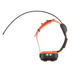 COLLIER ENSEMBLE CANICOM GPS 2