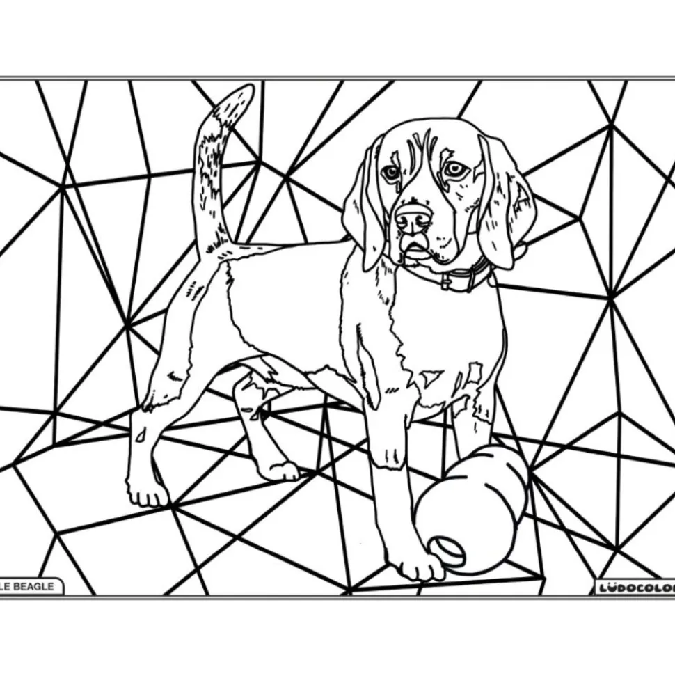 COLORIAGE BEAGLE