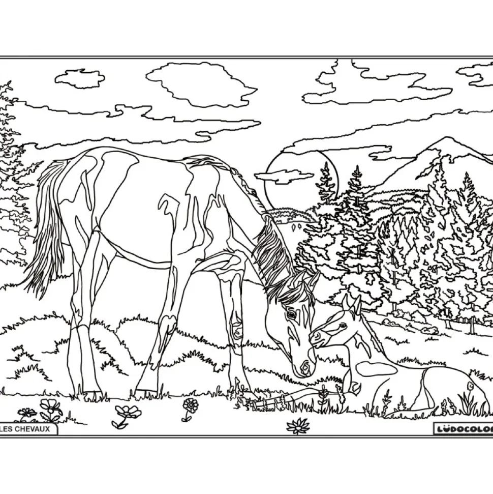 COLORIAGE JUMENT & POULAIN
