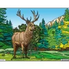 COLORIAGE LE CERF