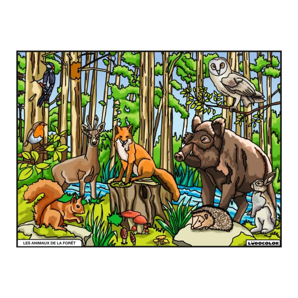 COLORIAGE LES ANIMAUX DE LA FORET