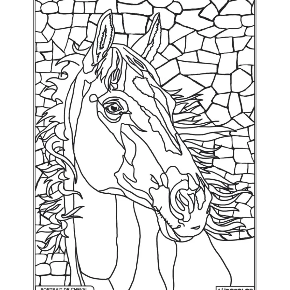 COLORIAGE PORTRAIT DE CHEVAL