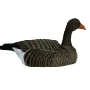 COQUILLE OIE CENDREE HD GAGNAGE