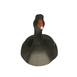 COQUILLE OIE CENDREE HD GAGNAGE