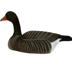 COQUILLE OIE CENDREE HD GAGNAGE