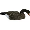 COQUILLE OIE CENDREE HD MANGEUSE