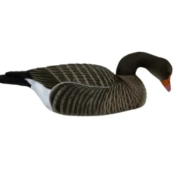 COQUILLE OIE CENDREE HD MANGEUSE