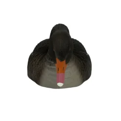 COQUILLE OIE CENDREE HD MANGEUSE