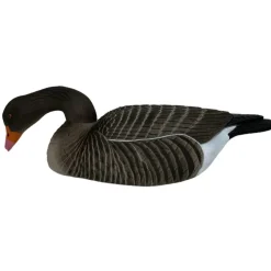 COQUILLE OIE CENDREE HD MANGEUSE