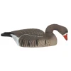 COQUILLE OIE RIEUSE HD GAGNAGE