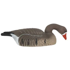 COQUILLE OIE RIEUSE HD GAGNAGE