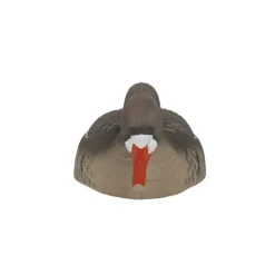 COQUILLE OIE RIEUSE HD GAGNAGE