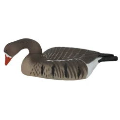 COQUILLE OIE RIEUSE HD GAGNAGE