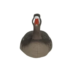 COQUILLE OIE RIEUSE HD MANGEUSE