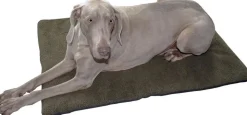 COUSSIN POUR CHIEN KAKI