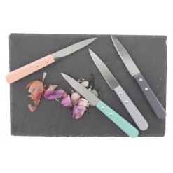 COUTEAUX OFFICE MANCHES COULEUR X4