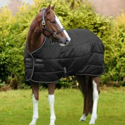 COUVERTURE D'ECURIE AMIGO INSULATOR 100G