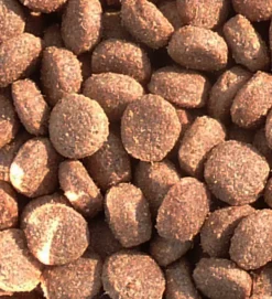CROQUETTES WOLPY CHASSE 20KG
