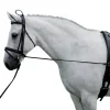 ENRENEMENT EDUCATIF CHEVAL