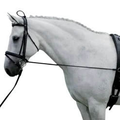 ENRENEMENT EDUCATIF CHEVAL