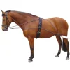 ENRENEMENT TYPE PESSOA CHEVAL
