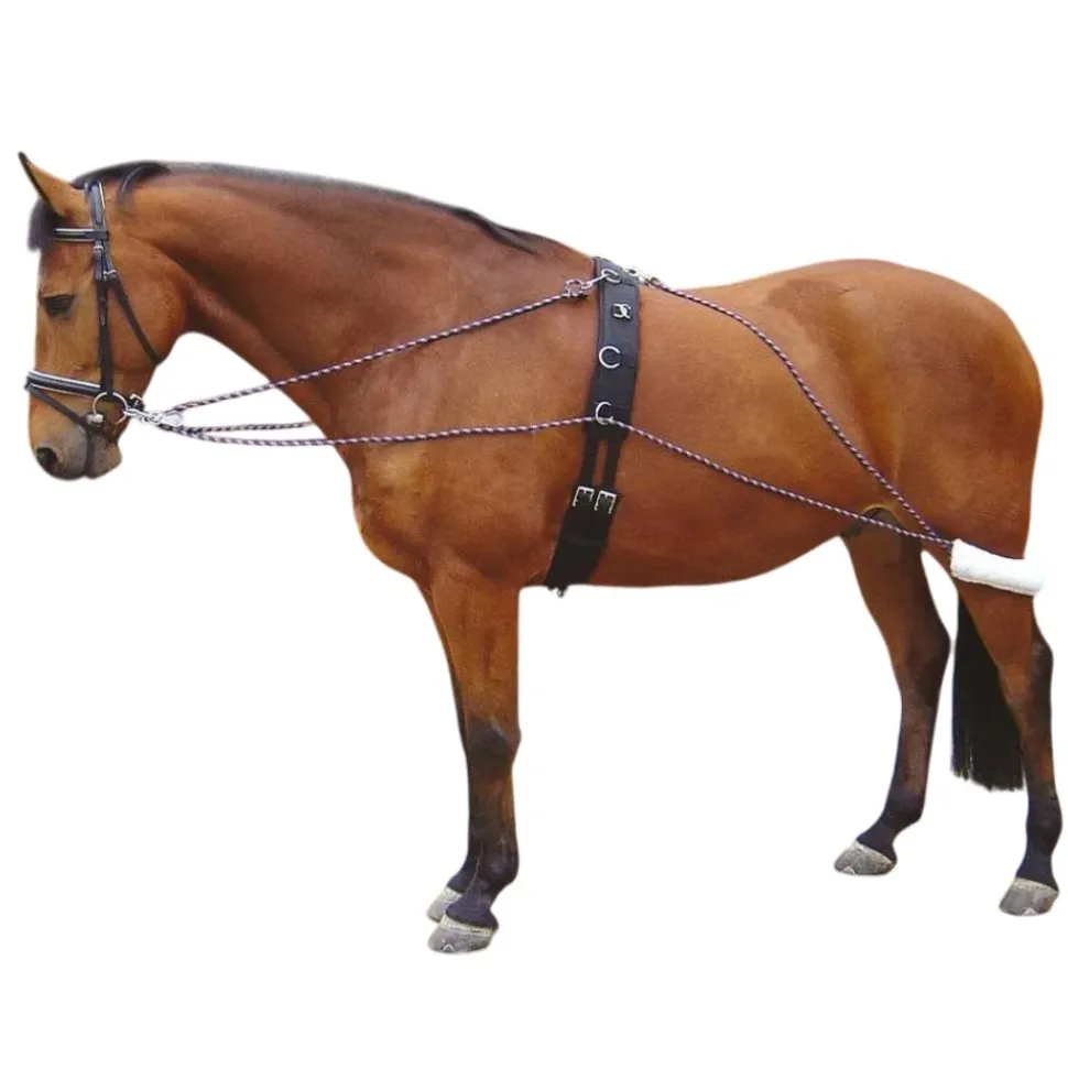 ENRENEMENT TYPE PESSOA CHEVAL