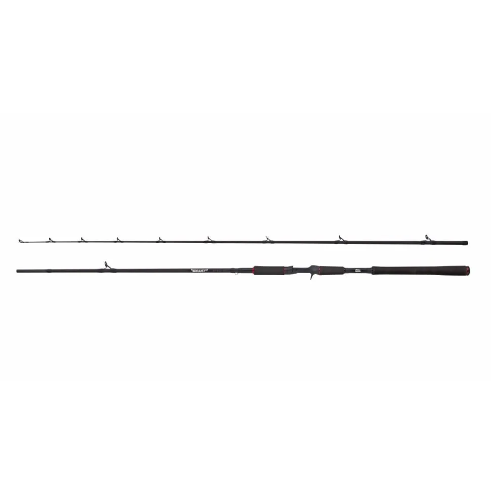 ENSEMBLE CASTING BEAST 2M40 30/100G + REVO MAX4 41